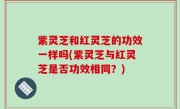紫灵芝和红灵芝的功效一样吗(紫灵芝与红灵芝是否功效相同？)