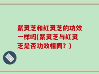 紫灵芝和红灵芝的功效一样吗(紫灵芝与红灵芝是否功效相同？)