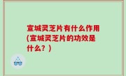宣城灵芝片有什么作用(宣城灵芝片的功效是什么？)