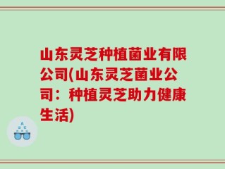 山东灵芝种植菌业有限公司(山东灵芝菌业公司：种植灵芝助力健康生活)
