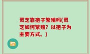 灵芝靠孢子繁殖吗(灵芝如何繁殖？以孢子为主要方式。)