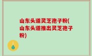 山东头道灵芝孢子粉(山东头道推出灵芝孢子粉)