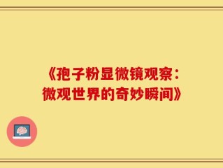 《孢子粉显微镜观察：微观世界的奇妙瞬间》