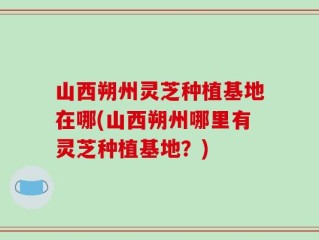 山西朔州灵芝种植基地在哪(山西朔州哪里有灵芝种植基地？)