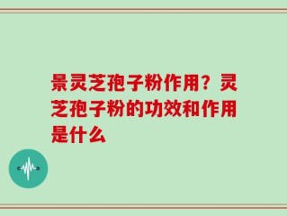 景灵芝孢子粉作用？灵芝孢子粉的功效和作用是什么