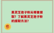 黑灵芝孢子粉从哪里提取？了解黑灵芝孢子粉的提取方法？