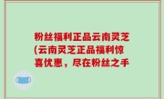 粉丝福利正品云南灵芝(云南灵芝正品福利惊喜优惠，尽在粉丝之手