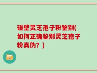 碰壁灵芝孢子粉鉴别(如何正确鉴别灵芝孢子粉真伪？)