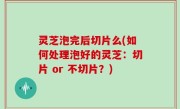 灵芝泡完后切片么(如何处理泡好的灵芝：切片 or 不切片？)