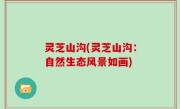 灵芝山沟(灵芝山沟：自然生态风景如画)