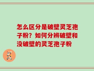 怎么区分是破壁灵芝孢子粉？如何分辨破壁和没破壁的灵芝孢子粉
