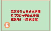灵芝养什么鱼好吃啊图片(灵芝与哪些鱼搭配更美味？—简单指南)
