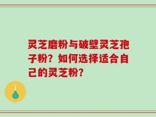 灵芝磨粉与破壁灵芝孢子粉？如何选择适合自己的灵芝粉？