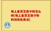 地上皇灵芝孢子粉怎么样(地上皇灵芝孢子粉的功效及用法)