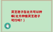 灵芝孢子在北方可以种嘛(北方种植灵芝孢子可行吗？)