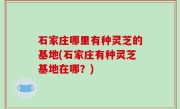 石家庄哪里有种灵芝的基地(石家庄有种灵芝基地在哪？)
