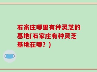 石家庄哪里有种灵芝的基地(石家庄有种灵芝基地在哪？)