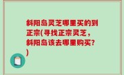 斜阳岛灵芝哪里买的到正宗(寻找正宗灵芝，斜阳岛该去哪里购买？)