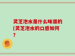 灵芝泡水是什么味道的(灵芝泡水的口感如何？