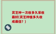 灵芝种一次收多久采收最好(灵芝种植多久收成最佳？)