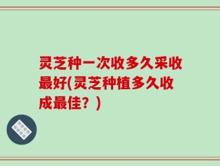 灵芝种一次收多久采收最好(灵芝种植多久收成最佳？)