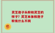 灵芝孢子头粉和灵芝的样子？灵芝本体和孢子粉有什么不同