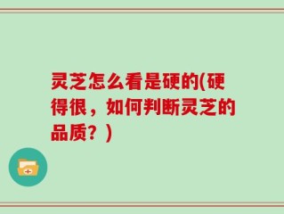 灵芝怎么看是硬的(硬得很，如何判断灵芝的品质？)