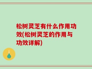 松树灵芝有什么作用功效(松树灵芝的作用与功效详解)