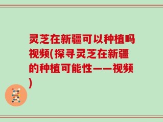 灵芝在新疆可以种植吗视频(探寻灵芝在新疆的种植可能性——视频)