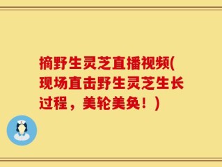 摘野生灵芝直播视频(现场直击野生灵芝生长过程，美轮美奂！)