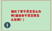 猫吃了草干灵芝怎么办啊(猫误食干灵芝草怎么处理？)