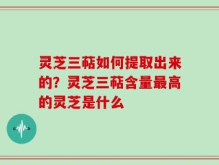 灵芝三萜如何提取出来的？灵芝三萜含量最高的灵芝是什么