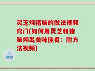 灵芝炖猪脑的做法视频窍门(如何用灵芝和猪脑炖出美味佳肴：附方法视频)