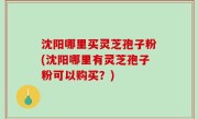 沈阳哪里买灵芝孢子粉(沈阳哪里有灵芝孢子粉可以购买？)