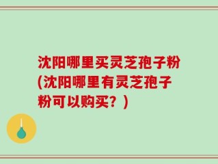 沈阳哪里买灵芝孢子粉(沈阳哪里有灵芝孢子粉可以购买？)