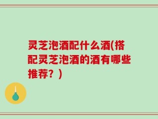灵芝泡酒配什么酒(搭配灵芝泡酒的酒有哪些推荐？)