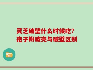 灵芝破壁什么时候吃？孢子粉破壳与破壁区别