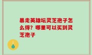 暴走英雄坛灵芝孢子怎么得？哪里可以买到灵芝孢子