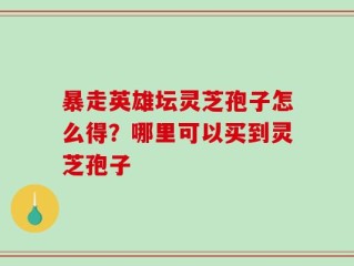 暴走英雄坛灵芝孢子怎么得？哪里可以买到灵芝孢子