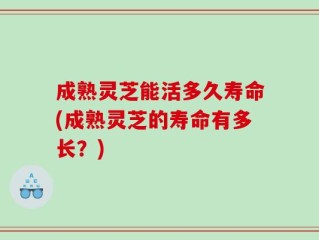 成熟灵芝能活多久寿命(成熟灵芝的寿命有多长？)
