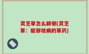 灵芝草怎么辟邪(灵芝草：驱邪祛病的草药)
