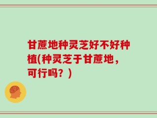 甘蔗地种灵芝好不好种植(种灵芝于甘蔗地，可行吗？)