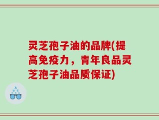 灵芝孢子油的品牌(提高免疫力，青年良品灵芝孢子油品质保证)