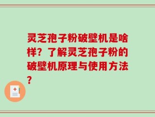 灵芝孢子粉破壁机是啥样？了解灵芝孢子粉的破壁机原理与使用方法？