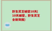 野生灵芝破壁10天(10天破壁，野生灵芝全新突围)