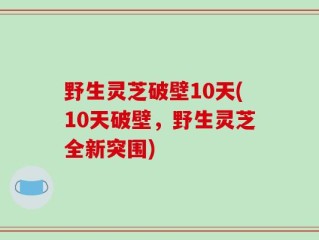 野生灵芝破壁10天(10天破壁，野生灵芝全新突围)