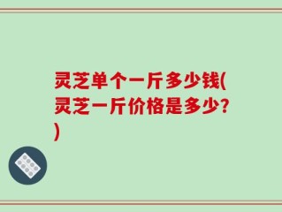 灵芝单个一斤多少钱(灵芝一斤价格是多少？)