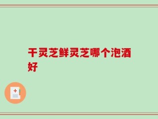干灵芝鲜灵芝哪个泡酒好