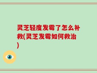 灵芝轻度发霉了怎么补救(灵芝发霉如何救治)