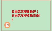 云南灵芝哪里最好 (云南灵芝哪家最靠谱？)